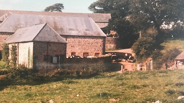 Newhouse Farm from The Linhay field in the late 1980s